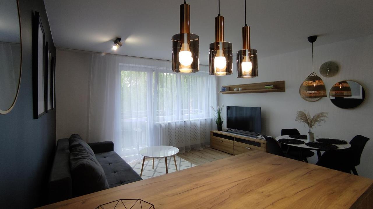 גליביצ'ה Apartament Opawska מראה חיצוני תמונה